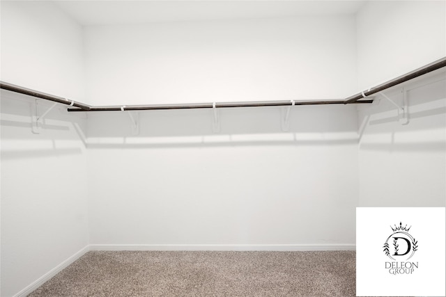 walk in closet featuring carpet