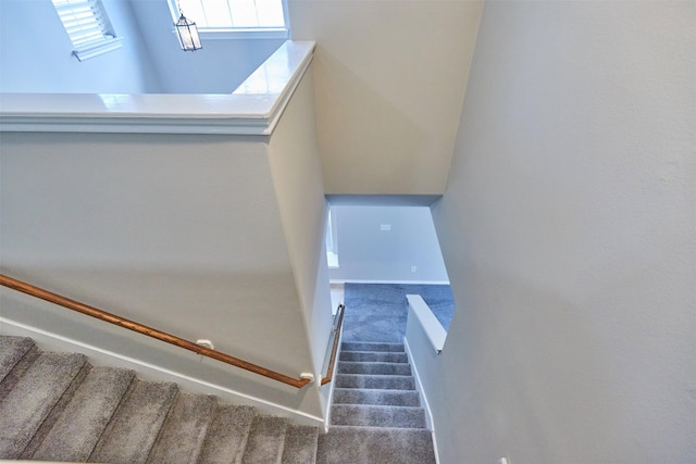 stairway featuring carpet floors