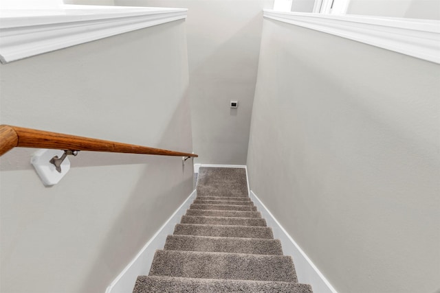 stairway with carpet