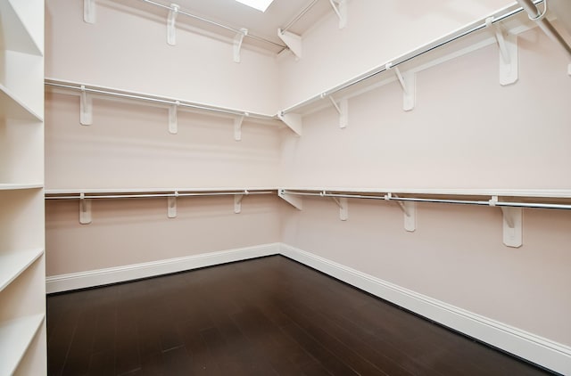 spacious closet featuring hardwood / wood-style flooring