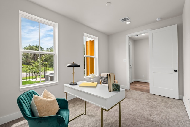 office area featuring light colored carpet