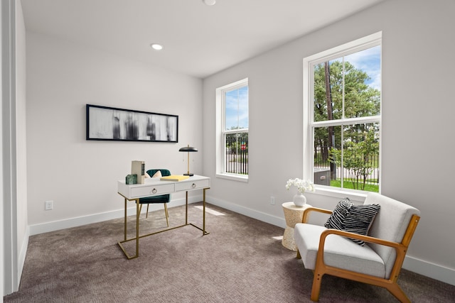 carpeted office space featuring a wealth of natural light