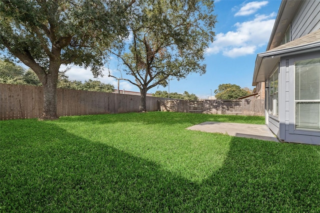 view of yard with a patio