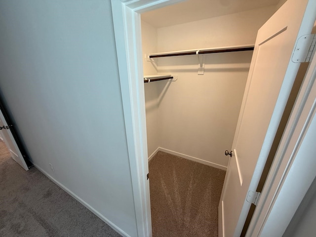 view of closet