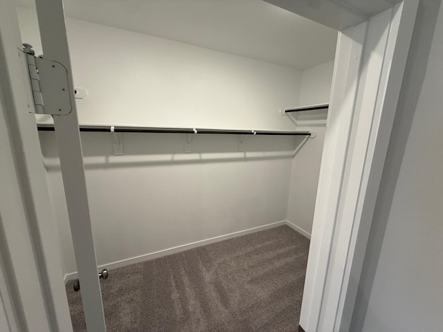 walk in closet with carpet flooring