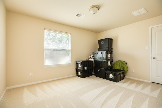 miscellaneous room with carpet flooring