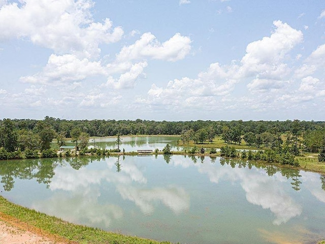 property view of water with a view of trees