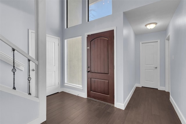 foyer entrance featuring dark wood-type flooring