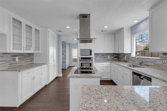 kitchen with white cabinetry, island range hood, stainless steel appliances, and sink