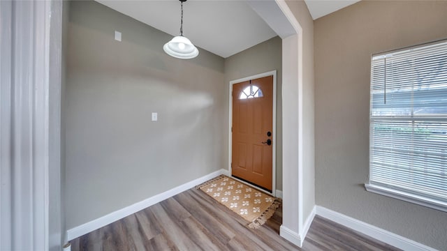 entryway featuring hardwood / wood-style floors