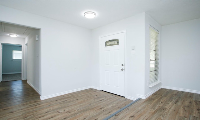 entryway featuring hardwood / wood-style flooring