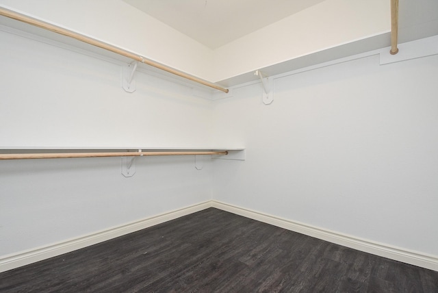 walk in closet with hardwood / wood-style floors