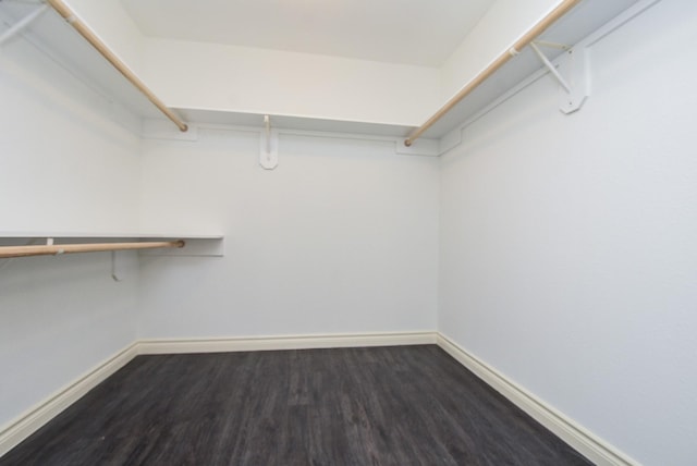 spacious closet featuring dark hardwood / wood-style floors