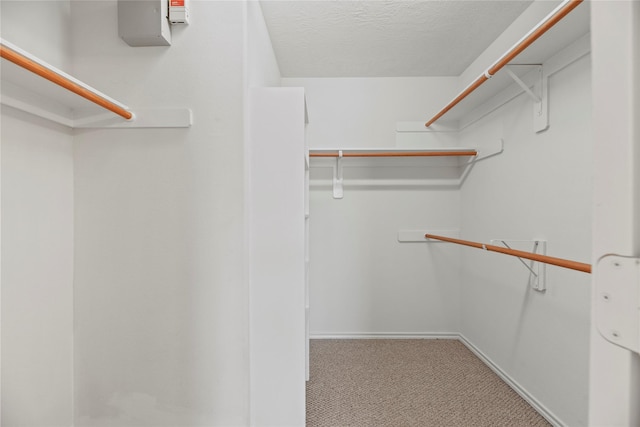 walk in closet with light colored carpet