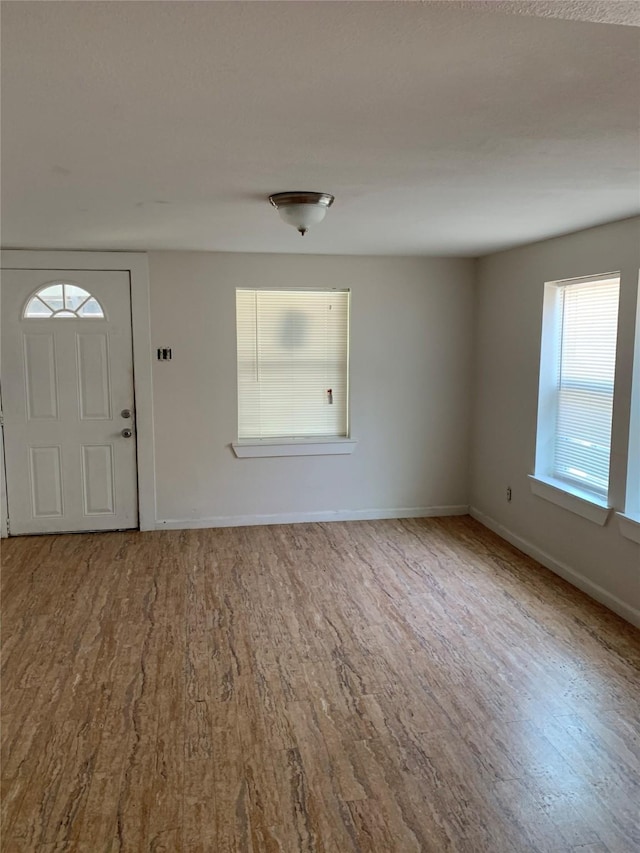 entryway with wood-type flooring