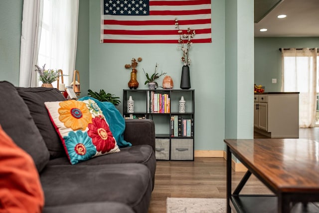 living room featuring wood-type flooring