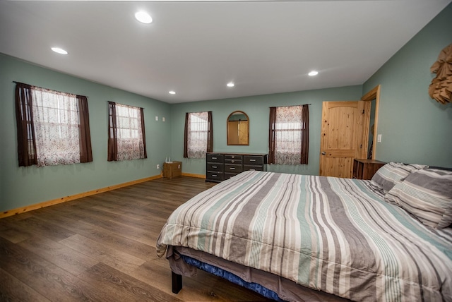 bedroom featuring multiple windows and wood-type flooring