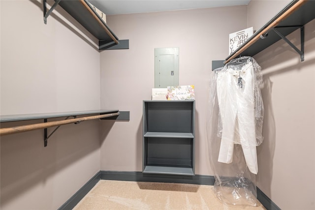 spacious closet with electric panel