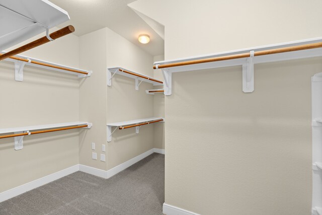 spacious closet with carpet flooring