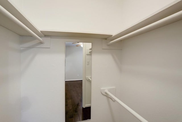 spacious closet featuring dark wood-type flooring and ceiling fan