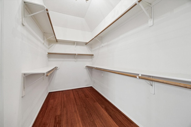 walk in closet with wood finished floors