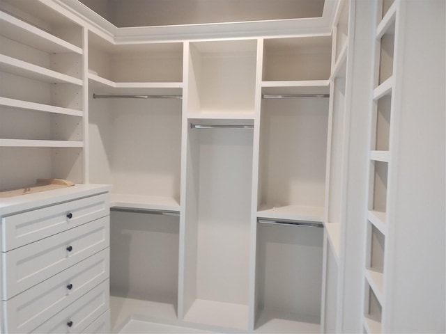 view of walk in closet