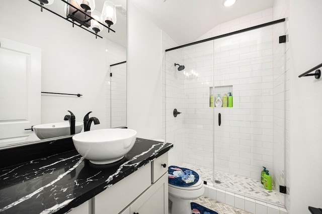 bathroom featuring toilet, a shower stall, and vanity