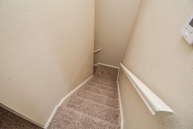 staircase with carpet flooring