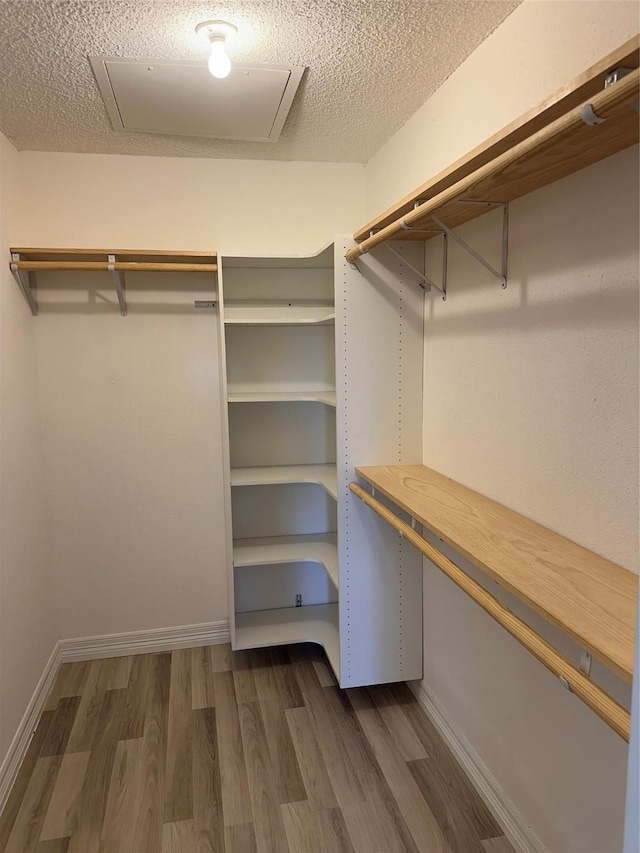 spacious closet with dark hardwood / wood-style floors