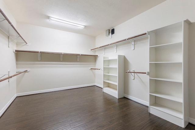 walk in closet featuring dark hardwood / wood-style floors