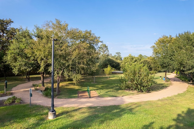 view of community with a yard