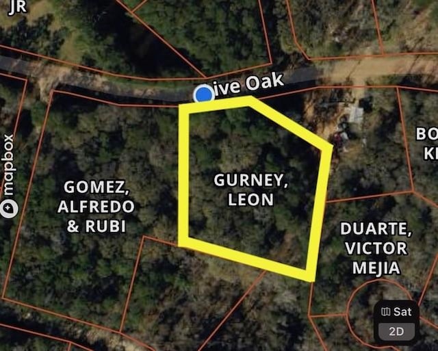 TBD Live Oak Dr, Plantersville TX, 77363 land for sale