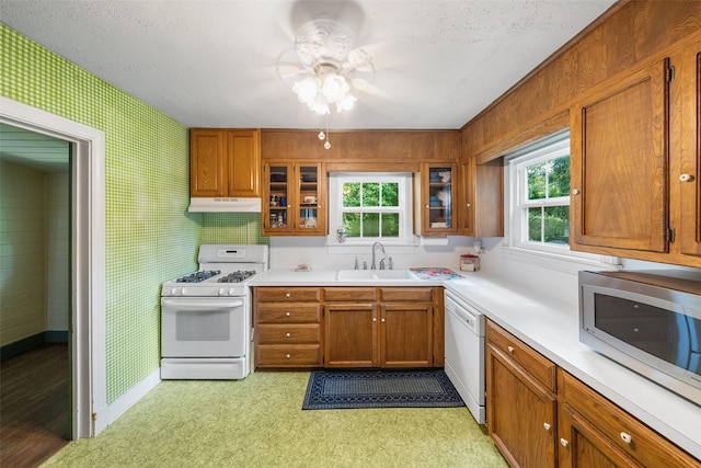 2506 Brazeal St, Waller, TX 77484 - kitchen featuring a ceiling fan, under cabinet range hood, brown cabinetry, white appliances, and a sink