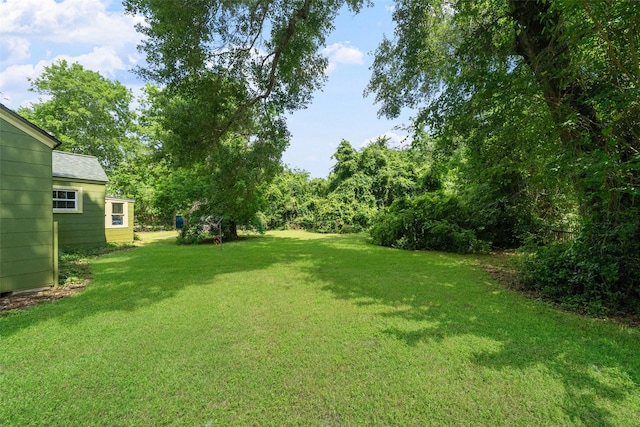 2506 Brazeal St, Waller, TX 77484 - view of yard