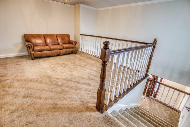 stairs featuring ornamental molding and carpet floors