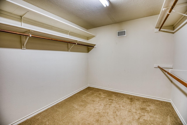 walk in closet with carpet flooring