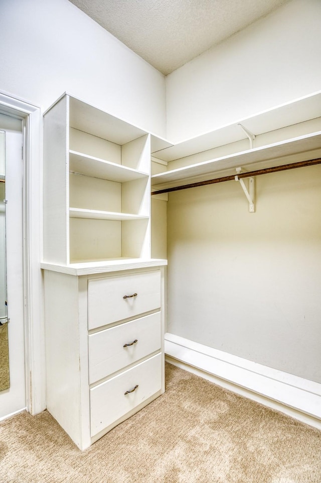 walk in closet featuring light colored carpet