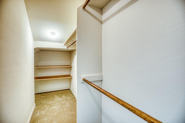 walk in closet with light carpet