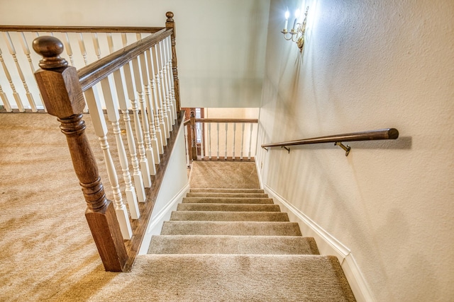 stairway featuring carpet floors