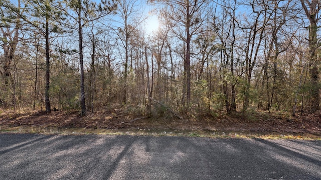 TBD Rhonda Rosa Rd, Wallisville TX, 77597 land for sale