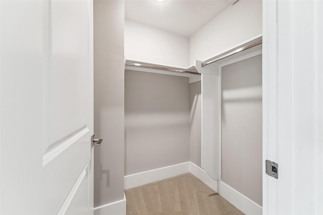 spacious closet featuring carpet flooring