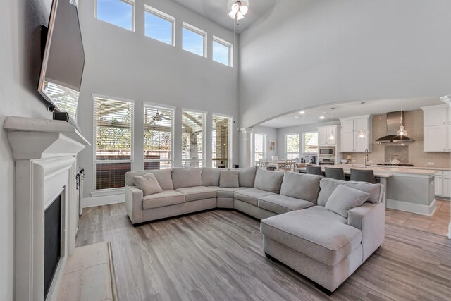 living room featuring a fireplace, light hardwood / wood-style floors, and ornate columns