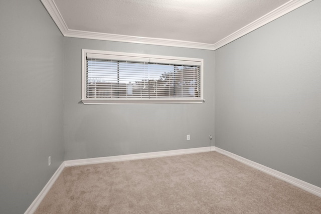 carpeted spare room with crown molding and a textured ceiling