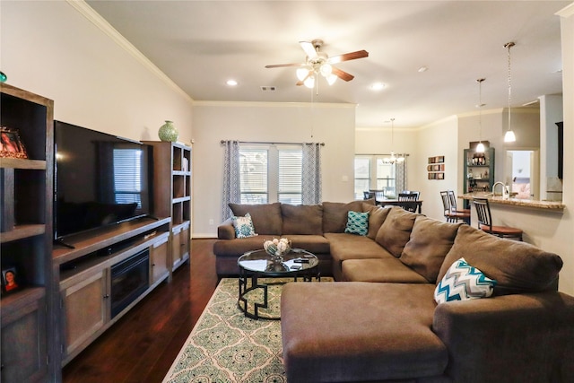 living room with crown molding, ceiling fan with notable chandelier, and dark hardwood / wood-style flooring