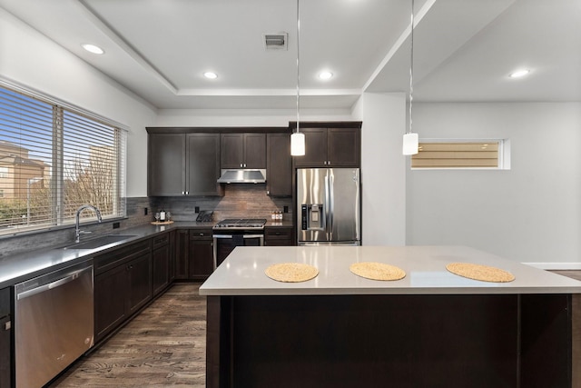 kitchen with pendant lighting, sink, a center island, and appliances with stainless steel finishes