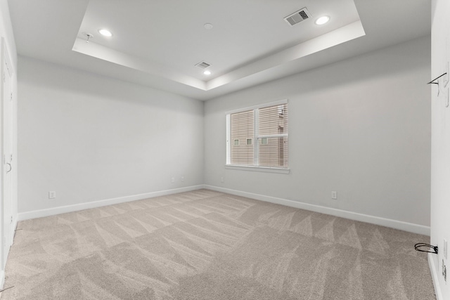 spare room featuring light colored carpet and a raised ceiling