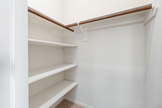 spacious closet featuring carpet flooring