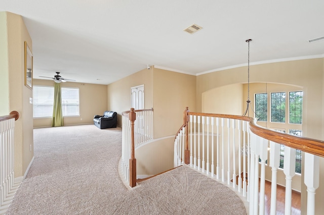 hall with crown molding and carpet floors