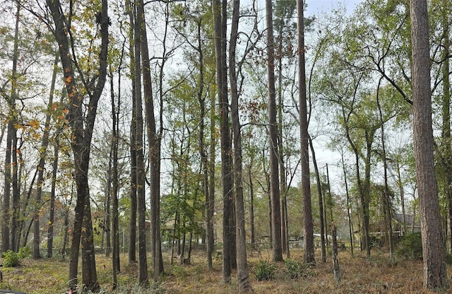 149 Honeysuckle, Livingston, TX 77351