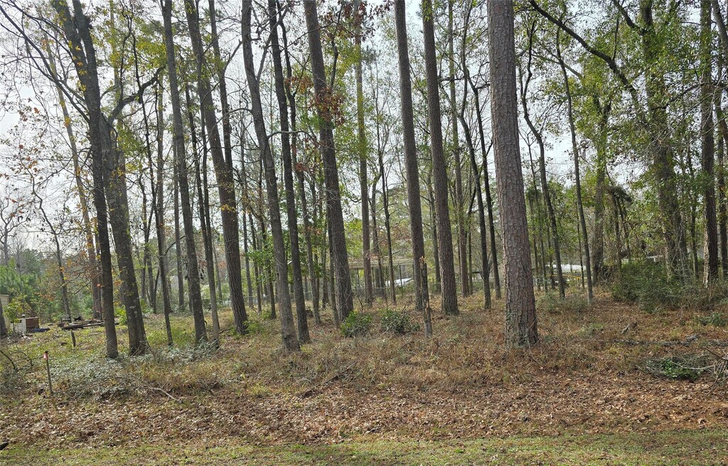 149 Honeysuckle, Livingston, TX 77351